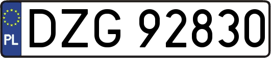 DZG92830