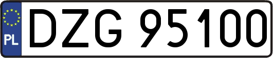 DZG95100