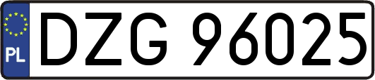 DZG96025