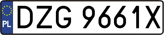 DZG9661X