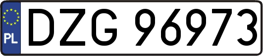 DZG96973