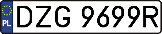 DZG9699R