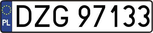 DZG97133