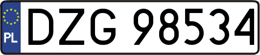 DZG98534