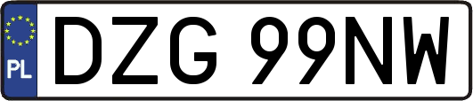 DZG99NW