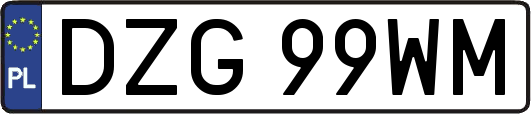 DZG99WM