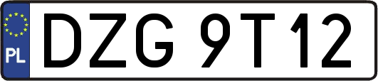 DZG9T12