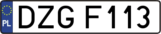 DZGF113