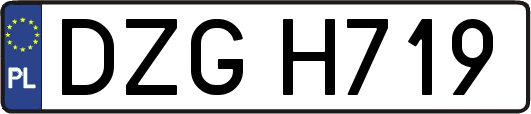 DZGH719