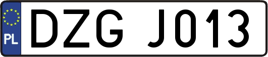 DZGJ013