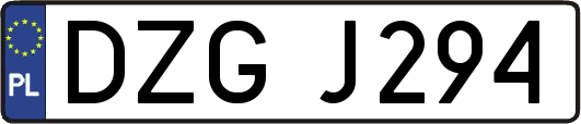 DZGJ294
