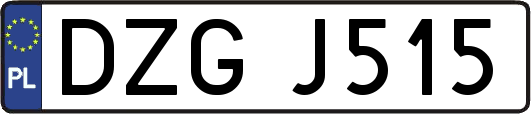 DZGJ515