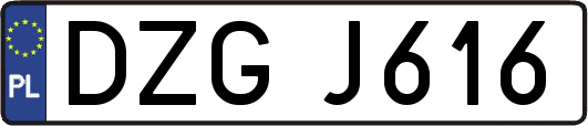 DZGJ616