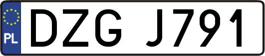 DZGJ791