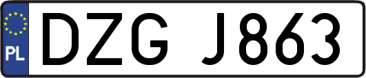 DZGJ863