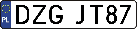 DZGJT87