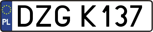 DZGK137