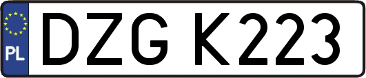 DZGK223