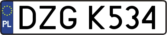 DZGK534