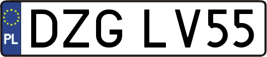 DZGLV55