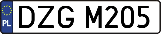 DZGM205