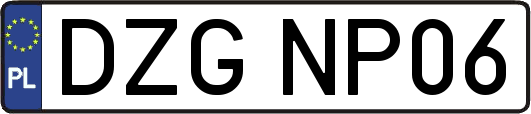 DZGNP06
