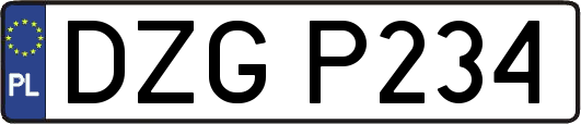 DZGP234