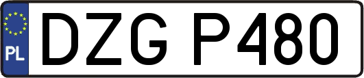 DZGP480