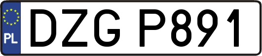 DZGP891