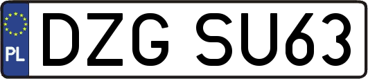 DZGSU63