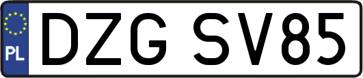 DZGSV85