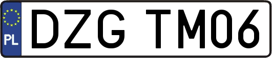 DZGTM06