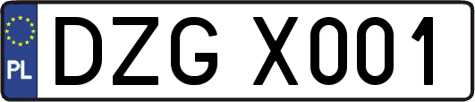 DZGX001