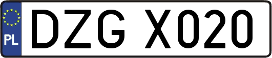 DZGX020