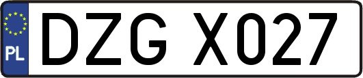 DZGX027
