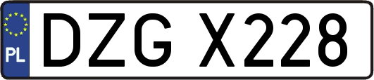 DZGX228