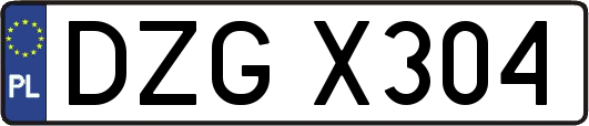 DZGX304