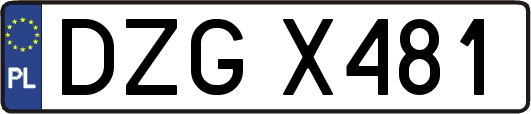 DZGX481