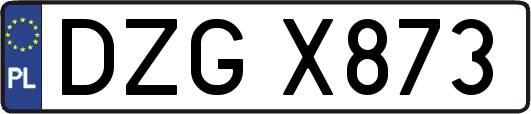 DZGX873