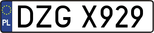 DZGX929