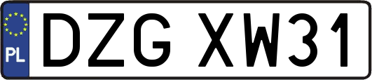 DZGXW31