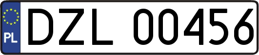 DZL00456