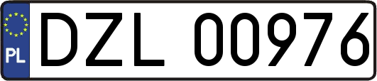 DZL00976