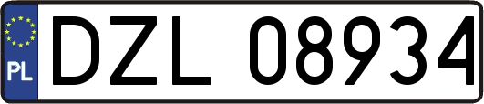 DZL08934