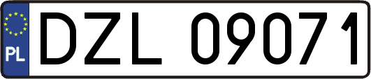 DZL09071