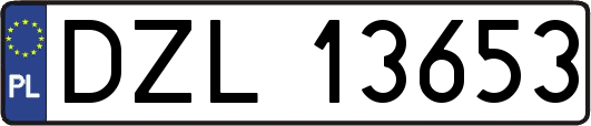 DZL13653