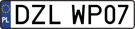 DZLWP07