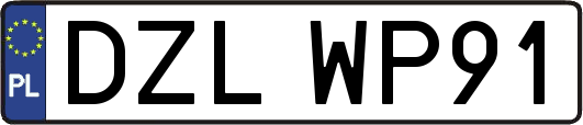 DZLWP91