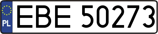 EBE50273