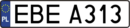 EBEA313